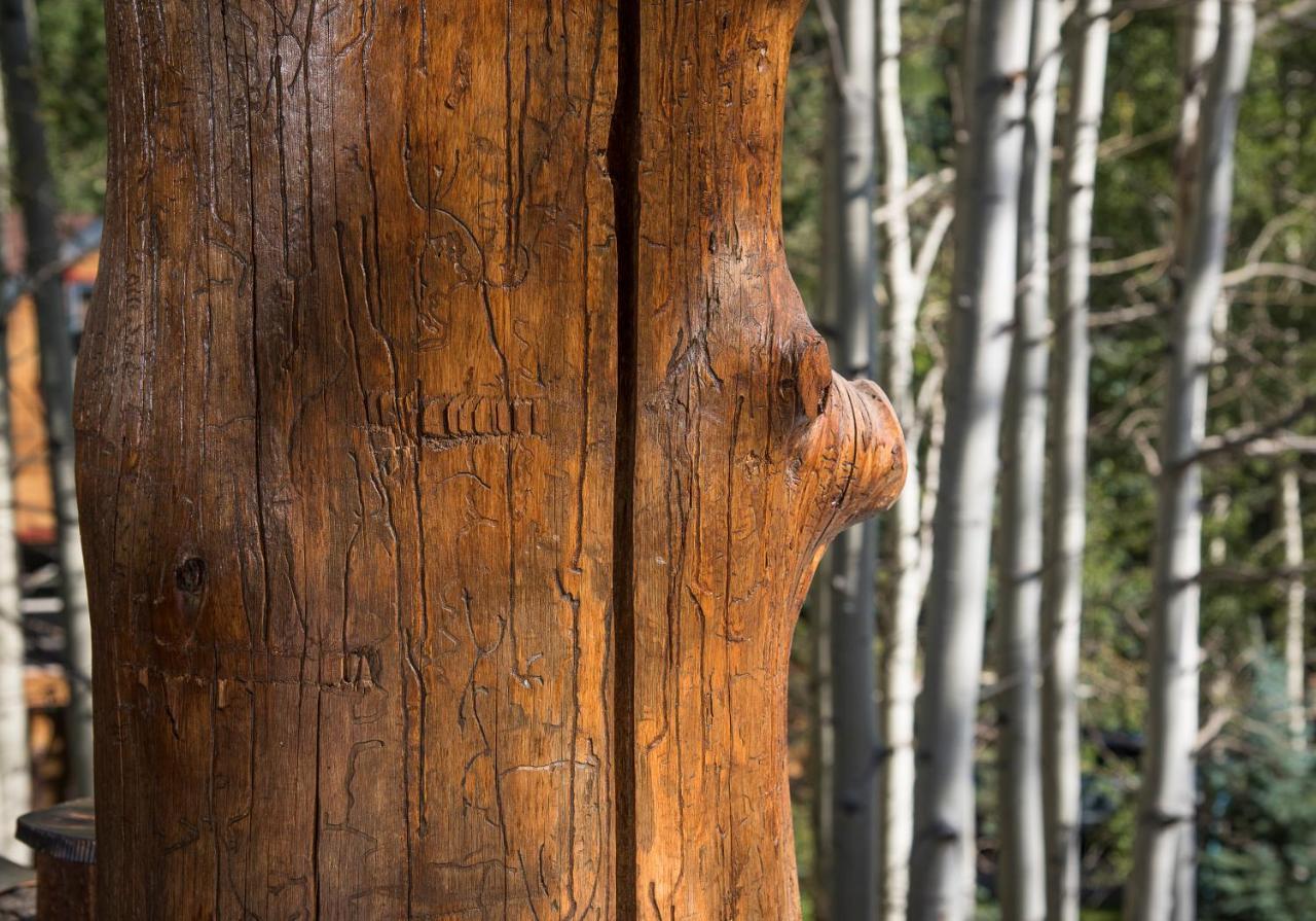 Amazing Highcliffe Lodge Vail Extérieur photo