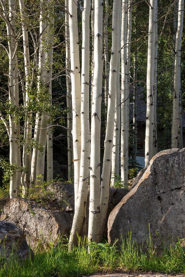 Amazing Highcliffe Lodge Vail Extérieur photo